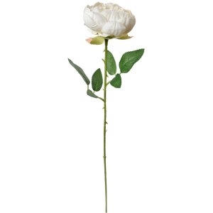 Clayre & Eef 6PL0366W Flor artificial Rosa blanca 8x8x62 cm
