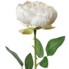 Clayre & Eef 6PL0366W Flor artificial Rosa blanca 8x8x62 cm