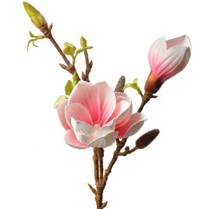 Clayre & Eef 5PL0128P Flor artificial 17x11x70 cm