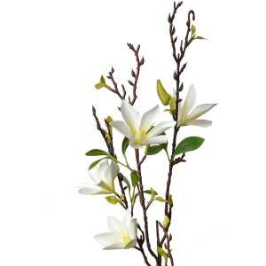 Clayre & Eef 5PL0129W Decoración Rama con...