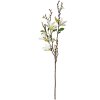 Clayre & Eef 5PL0129W Decoración Rama con Flores Blancas 15x7x84 cm