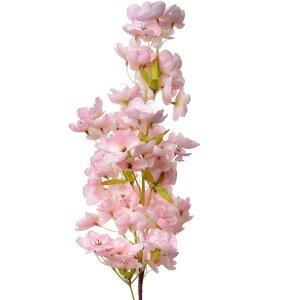 Clayre & Eef 5PL0131P Decoración Rama con...