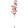 Clayre & Eef 5PL0131P Decoración Rama con Flores Rosa 16x8x98 cm