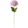 Clayre & Eef 5PL0133LPA Flor artificial Morado 15x15x80 cm