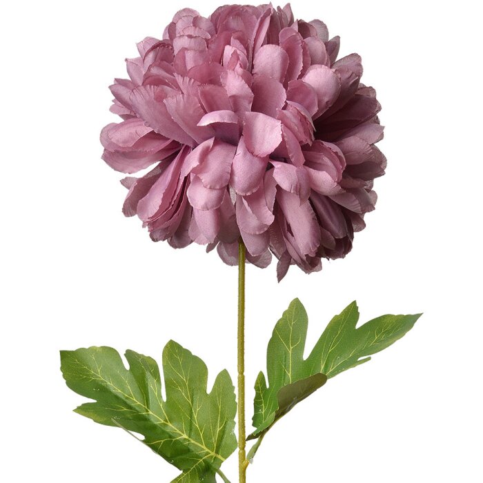 Clayre & Eef 5PL0133PA Flor artificial Morado 15x15x80 cm