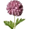 Clayre & Eef 5PL0133PA Flor artificial Morado 15x15x80 cm