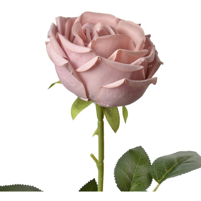 Clayre & Eef 6PL0369A Flor artificial Rosa púrpura 9x9x61 cm