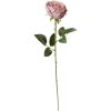 Clayre & Eef 6PL0369A Flor artificial Rosa púrpura 9x9x61 cm