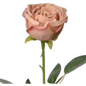 Flor artificial Clayre & Eef 6PL0369CH Rosa 9x9x61 cm