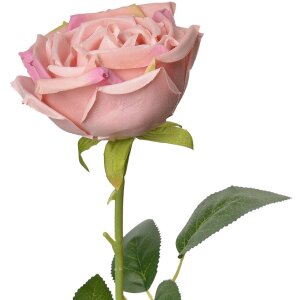 Clayre & Eef 6PL0369P Rosa flor artificial 9x9x61 cm