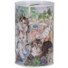 Clayre & Eef 6BL0169 Hucha estilo campestre motivo gato Ø 8x13 cm