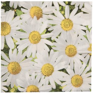 Clayre & Eef 73076 Servilletas de papel margaritas...