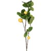 Clayre & Eef 5PL0141 Rama de Limón decorativa Amarillo Verde 10x7x73 cm