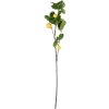 Clayre & Eef 5PL0141 Rama de Limón decorativa Amarillo Verde 10x7x73 cm