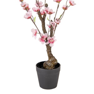 Clayre & Eef 6PL0373 Árbol Decorativo Cerezo en Flor Rosa Marrón 10x10x48 cm
