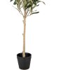 Clayre & Eef 5PL0150 Árbol decorativo verde 15x15x70 cm