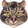 Clayre & Eef 6CE2069 Imán cabeza de gato cerámica 7x7x1 cm estilo country