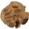 Bola decorativa de teca Mauro Ferretti Ø40 cm marrón