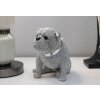 Mauro Ferretti Figurilla decorativa bulldog Sparky 17x11x14 cm plata