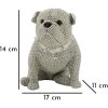 Mauro Ferretti Figurilla decorativa bulldog Sparky 17x11x14 cm plata