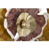 Mauro Ferretti panel mural Clow 92,1x8,3x51,4 cm multicolor