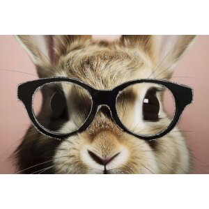Mauro Ferretti mural Bunny con marco 62,5x2,8x62,5 cm rosa