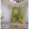 Marco Mauro Ferretti Farfalle 20x25 cm oro