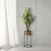 Mauro Ferretti florero individual Ø 25x50 cm oro negro