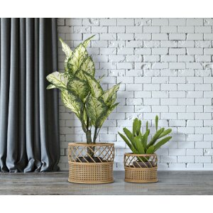 Jardinera Mauro Ferretti Panamá lote de 2 Ø 30x25-22x18 cm marrón