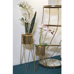 Mauro Ferretti florero Glod set de 2 21x20x46 y 18x18x32 cm oro