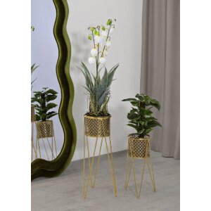 Mauro Ferretti florero Nat set de 2 21x20x46 y 18x18x32 cm oro