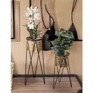 Mauro Ferretti Drak florero set de 2 21x20x46 y 18x18x32 cm oro negro