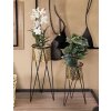 Mauro Ferretti Drak florero set de 2 21x20x46 y 18x18x32 cm oro negro
