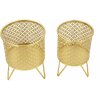 Mauro Ferretti Ceci florero set de 2 Ø 16x20 y 13x20 cm oro