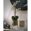 Mauro Ferretti Ceci florero set de 2 Ø 16x20 y 13x20 cm oro
