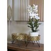 Mauro Ferretti Zanny florero set de 2 Ø 20.5x13 y 18x13 cm oro negro