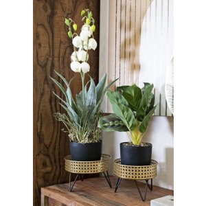 Mauro Ferretti Bossy florero set de 2 Ø 20.5x13 y 18x13 cm oro negro