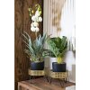 Mauro Ferretti Bossy florero set de 2 Ø 20.5x13 y 18x13 cm oro negro