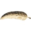 Mauro Ferretti cuenco decorativo hoja larga 38x3x11 cm oro