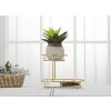 Mauro Ferretti cuenco decorativo 2 niveles 36x22.5x27 cm oro