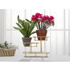 Mauro Ferretti cuenco decorativo 3 Niveles 36x22.5x27 cm oro