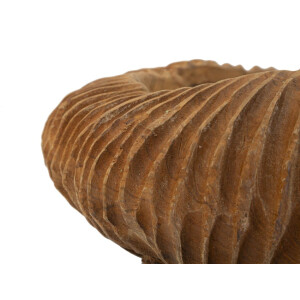 Mauro Ferretti cuenco decorativo Garit Ø32x11 cm marrón