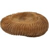Mauro Ferretti cuenco decorativo Garit Ø32x11 cm marrón