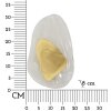Mauro Ferretti Lámpara de pie Océano Oro E14 21x8x31 cm oro y blanco