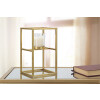 Mauro Ferretti Candelabro Elegant 15x15x25 cm dorado