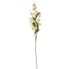 Clayre & Eef Rama Decorativa con Flores Beige Verde 80cm Plástico