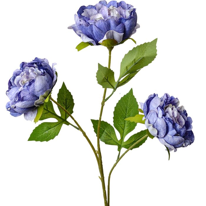 Clayre & Eef 5PL0166BL Ramo Decorativo Flores Morado 12x8x80 cm