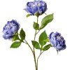 Clayre & Eef 5PL0166BL Ramo Decorativo Flores Morado 12x8x80 cm