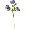 Clayre & Eef 5PL0166BL Ramo Decorativo Flores Morado 12x8x80 cm