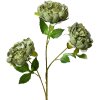 Clayre & Eef 5PL0166GR Decoración Rama con Flores Verde 12x8x80 cm